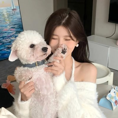 蝴蝶夫人的现代家庭